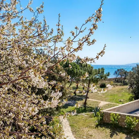 In Pinewood Near The Sea דירה