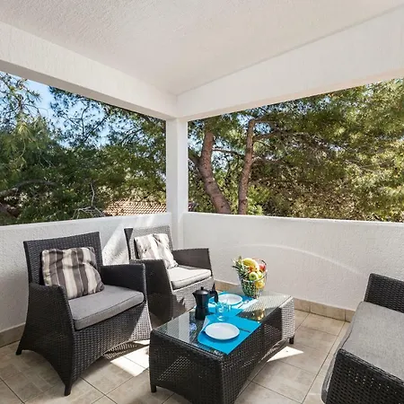 In Pinewood Near The Sea