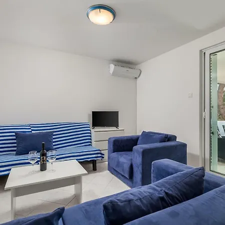 In Pinewood Near The Sea