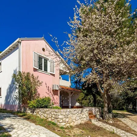 In Pinewood Near The Sea Mali Lošinj
