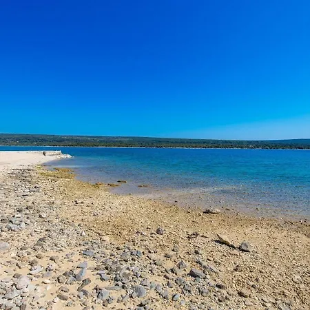 In Pinewood Near The Sea * Mali Lošinj