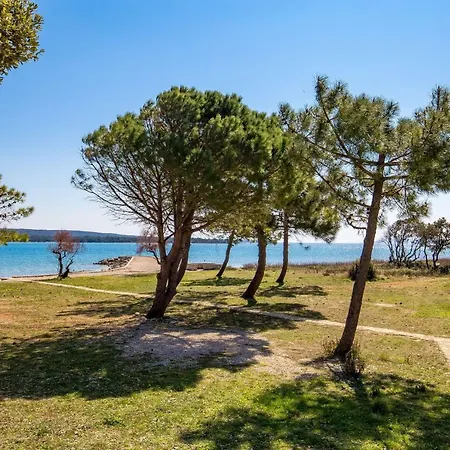 Apartman In Pinewood Near The Sea