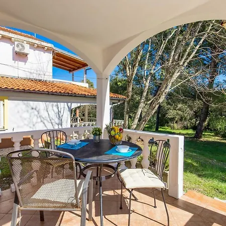 In Pinewood Near The Sea