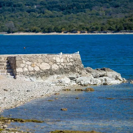 In Pinewood Near The Sea Apartman Mali Lošinj