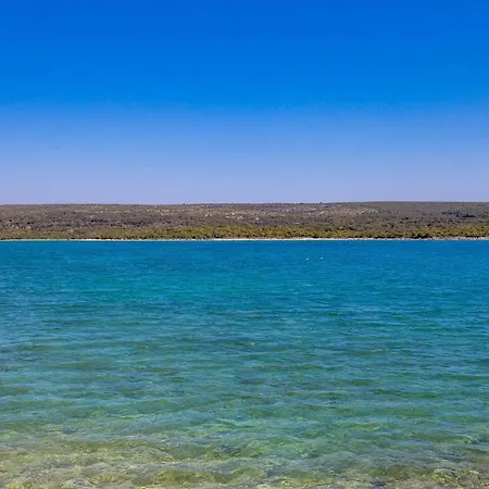 In Pinewood Near The Sea *